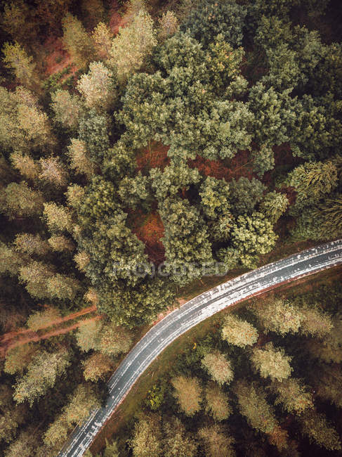 Vista aerea di asfalto strada rurale in boschi verdi — Foto stock
