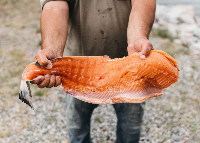 Schmutzige Hände in Fischöl halten große abgeschnittene Platte mit rotem Fischmehl in der Hand — Stockfoto