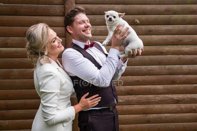 Aufgeregtes Brautpaar auf grünem Rasen mit vielen kleinen weißen Chihuahua — Stockfoto