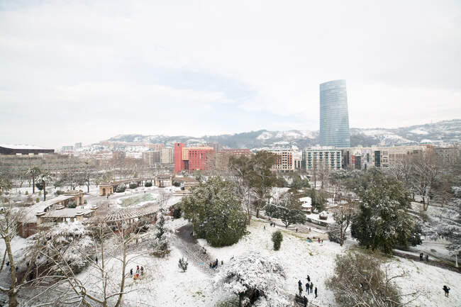 Aerial view to park covered with snow — Stock Photo