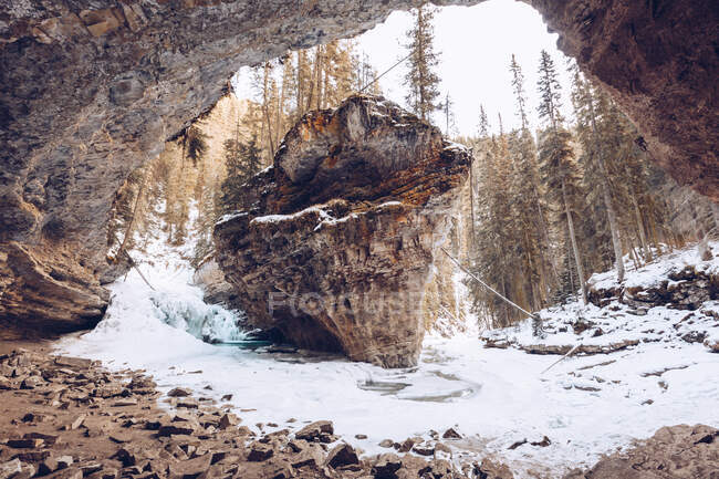 Floresta de inverno canadense com enormes rochas marrons e altos abetos diurnos — Fotografia de Stock