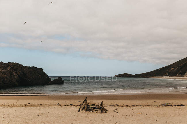 Heap of snags lying on sandy coast near waving sea on cloudy day — Stock Photo