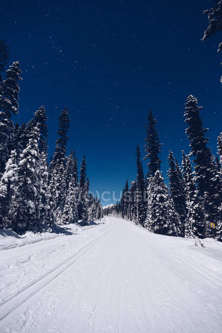 Beau paysage enneigé canadien — Photo de stock