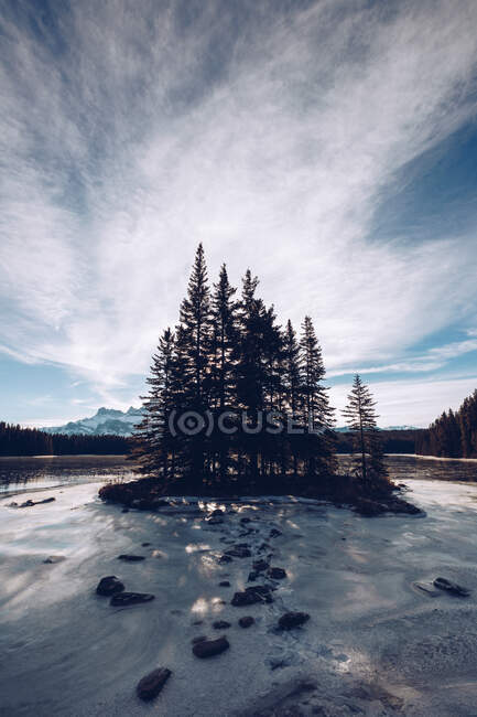 Little island with few winter firs in melted pond coast surrounded by thicket on mountains and cloudy sky background — Stock Photo