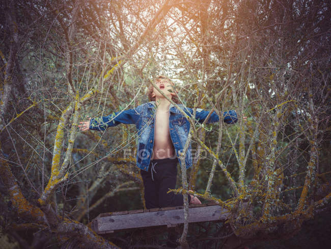Boy in branches with hands apart — Stock Photo