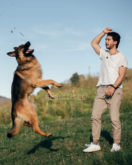 Bonito cara jovem em roupa casual jogando com pastor alemão engraçado enquanto passar o tempo no campo juntos — Fotografia de Stock