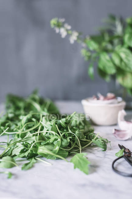 Fresh green arugula on white marble table — Stock Photo
