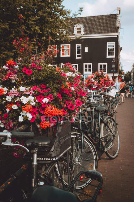 Ряд винтажных велосипедов припаркован у цветов на улице города на острове Фероэ — стоковое фото
