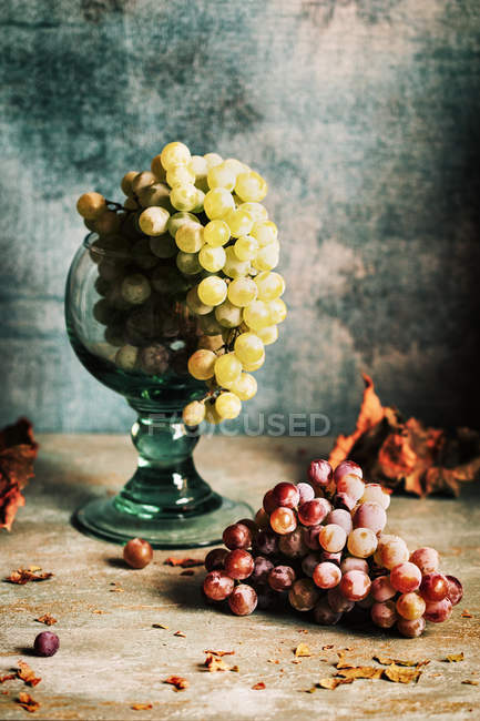 Uvas verdes en copa de vidrio sobre superficie de madera con uvas moradas y hojas secas de otoño - foto de stock