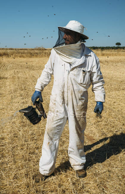 Imker sammeln Honig — Stockfoto