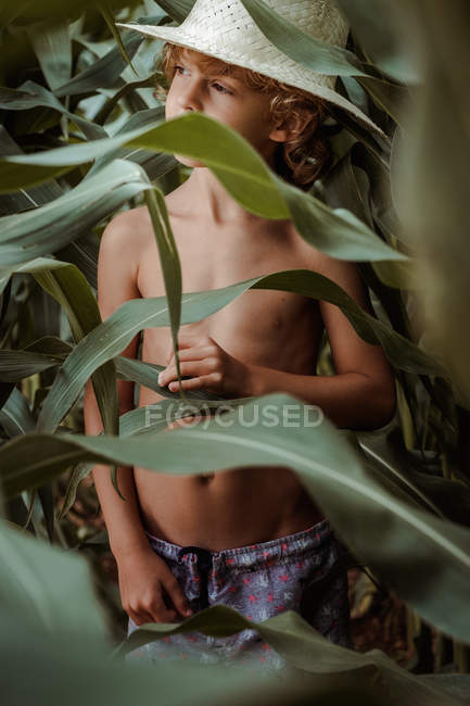 Garçon en chapeau dans le champ de maïs — Photo de stock