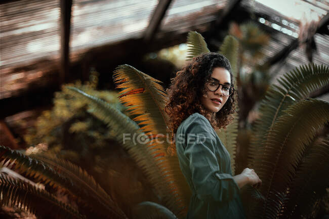 Side view of beautiful African-American charming young lady in green cloths and eyeglasses looking at camera and standing near plants — Stock Photo
