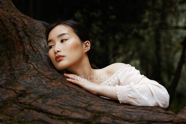 Обрізати привабливу даму в білій блузці, торкаючись старого дерева і дивлячись в сторону — стокове фото