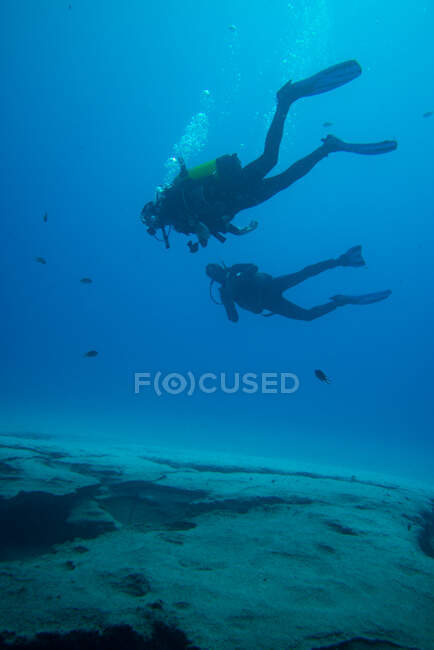 Mergulhadores em imersão perto do recife, fuerteventura — Fotografia de Stock