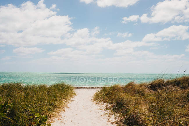 Sentier sablonneux menant à la mer bleue calme par temps nuageux à Miami — Photo de stock