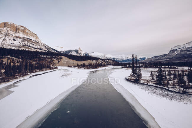 Fluss mit schneebedeckten Ufern, die durch Spalten fließen? im Winterwald mit vielen Tannen im Hintergrund mit Bergen und bewölktem Himmel — Stockfoto