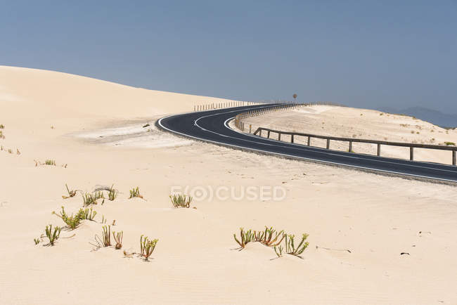 Straße und karge Vegetation in der Wüste Fuerteventura, Kanarische Inseln — Stockfoto