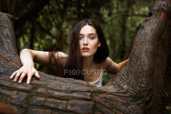 Recortar atractiva dama en blusa blanca tocando árbol viejo y mirando a la cámara - foto de stock