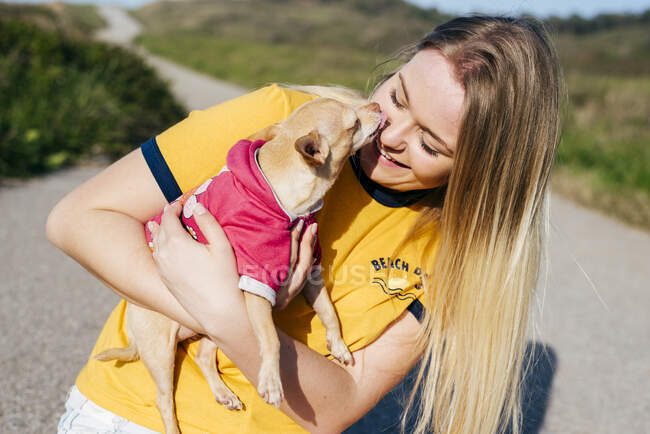 Ragazza con piccolo Chihuahua alla luce del sole — Foto stock