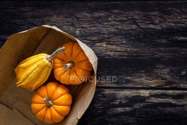 Halloween-Dekoration von Kürbissen in Papiertüte auf dunklem Hintergrund mit Kopierraum. — Stockfoto