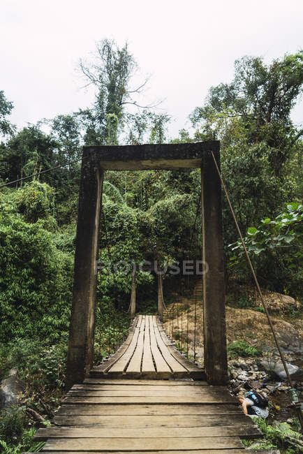 Vieux pont en bois grondé dans les bois verts — Photo de stock