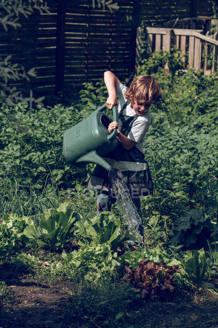 Boy with curly hair in apron watering plants in garden — Stock Photo