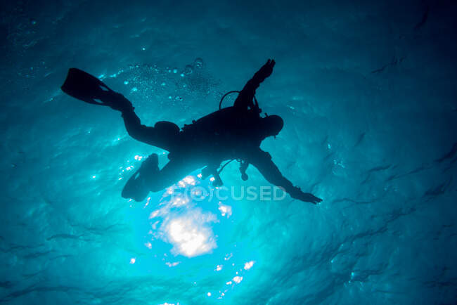 Buceador desciende a las profundidades del océano, fuerteventura - foto de stock