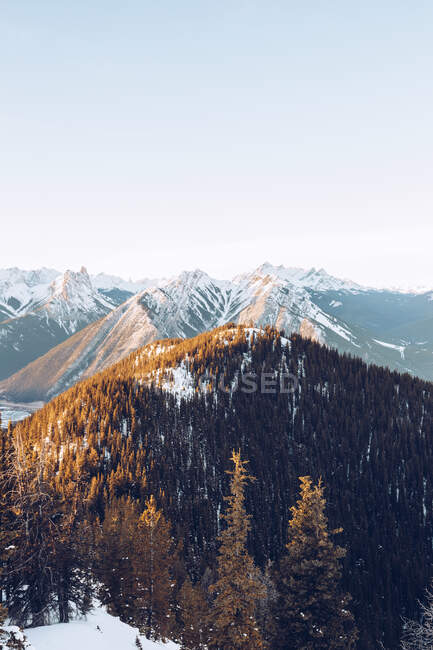 Floresta de inverno em colinas nevadas no fundo com céu nublado e sol? com montanhas pitorescas com rios nas montanhas — Fotografia de Stock