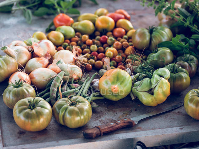 Verdure fresche raccolte su tavola rustica con coltello — Foto stock