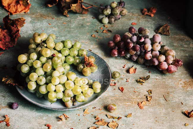 Uvas verdes frescas servidas en plato y uvas púrpuras en mesa de madera rústica - foto de stock