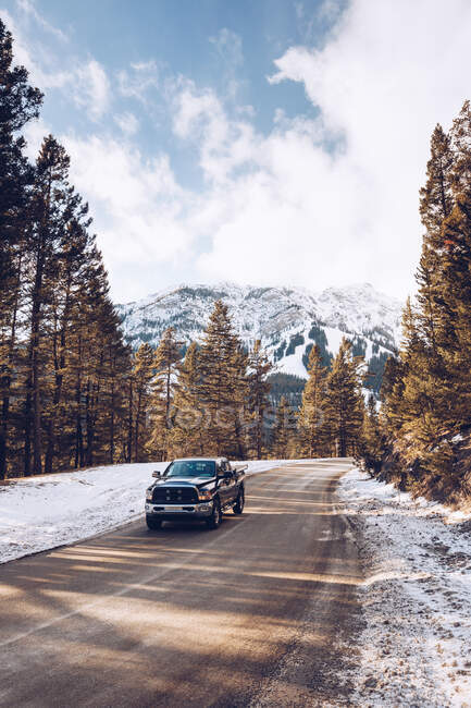 Pulito pick-up con persone che guidano sulla strada forestale canadese con molti abeti e sullo sfondo con montagne innevate e cielo nuvoloso — Foto stock