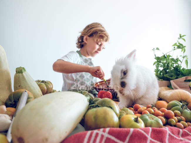 Kleiner Junge steht am Tisch und kocht Gemüse mit entzückendem weißen Kaninchen — Stockfoto