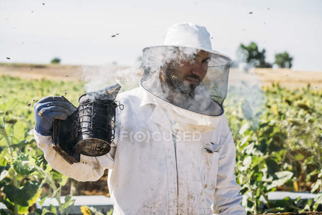 Пасічник збирає мед. — стокове фото