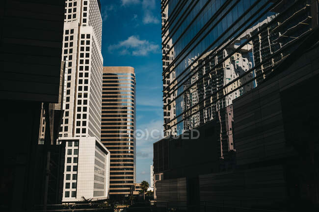Magníficos edificios torre de pie en la calle de la ciudad de Miami en el día soleado - foto de stock