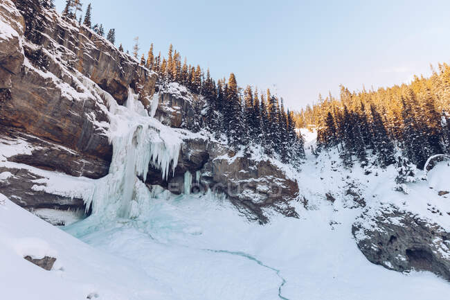 Desde debajo de un acantilado rocoso en hielo y nieve con árboles siempreverdes creciendo arriba a la luz del sol, Canadá - foto de stock