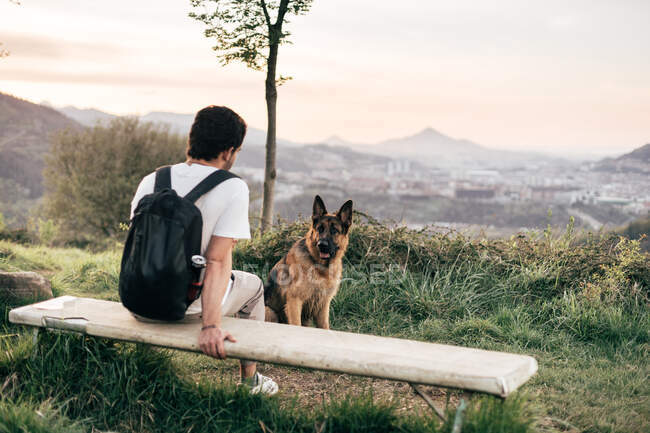 Uomo che gioca con il cane in natura — Foto stock
