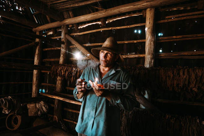 LA HABANA, CUBA - 1 de mayo de 2018: Hombre adulto serio sosteniendo un encendedor y cigarro mirando a la cámara entre el secado de tabaco en el granero. - foto de stock