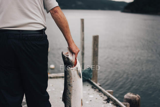 Рыбак держит пойманную рыбу в руке, стоя на причале перед поверхностью воды. — стоковое фото