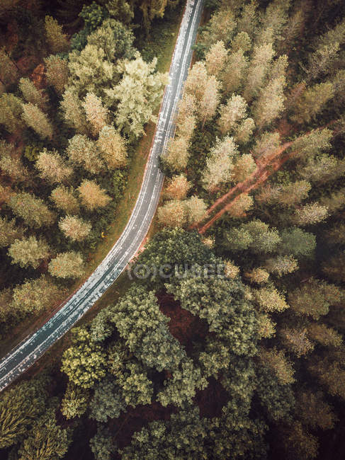 Vista aérea da estrada rural de asfalto em bosques verdes — Fotografia de Stock