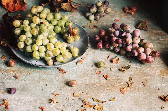 Raisins frais servis dans une assiette — Photo de stock