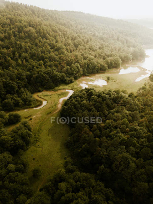 Grüne Wälder und See an sonnigen Tagen in Pais Vasco, Baskenland, Spanien — Stockfoto