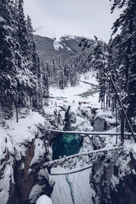 Fluss mit schneebedeckten Ufern fließt durch winterliche Wälder mit vielen Tannen im Hintergrund mit Bergen und bewölktem Himmel — Stockfoto