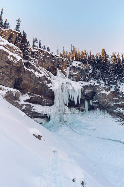 Von unten Aufnahme von felsigen Klippen in Eis und Schnee mit immergrünen Bäumen oben im Sonnenlicht, Kanada — Stockfoto