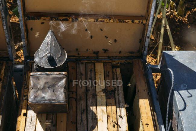Fumador para coletar mel em favo de mel. — Fotografia de Stock