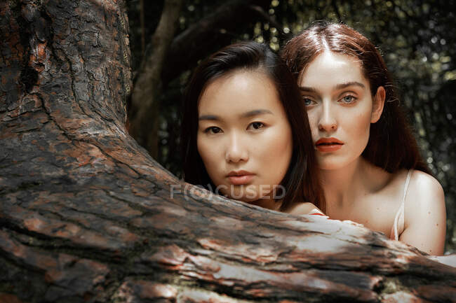 Вигляд багатонаціональних жіночих облич, що розміщені за деревом і дивлячись на камеру — стокове фото