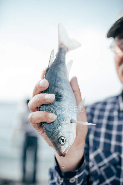 Pescado mostrado por un hombre de la cosecha - foto de stock