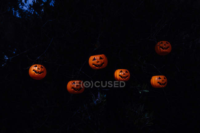 Calabazas de halloween brillantes en el bosque oscuro - foto de stock