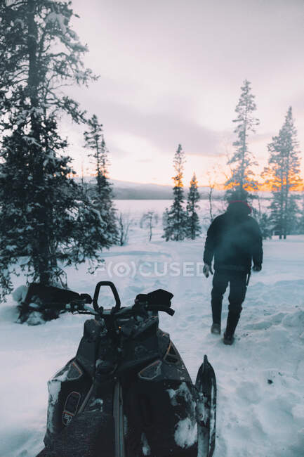 Vista de homem em outwear andando entre árvores com snowmobile perto em terras nevadas — Fotografia de Stock