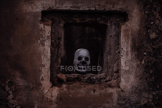 Skull in window on shabby old wall — Stock Photo