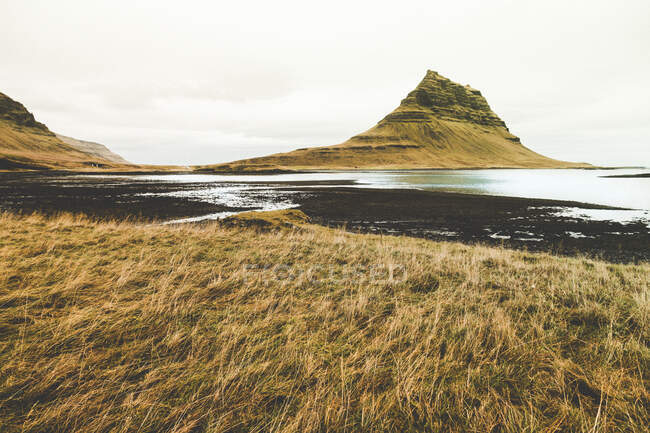 Picturesque landscape of wetland with dry grass and peaky cliffs in daylight — Stock Photo